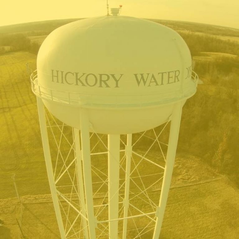 hickory